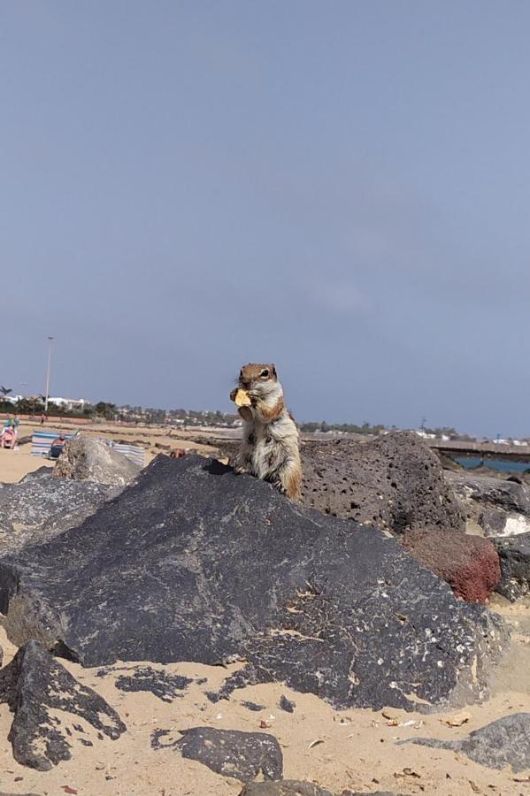 Holiday Rent Fuerteventura コスタ・デ・アンティグア エクステリア 写真